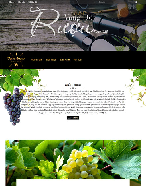 Giải pháp thương mại điện tử Bizweb, thiết kế website chuyên nghiệp chuẩn Seo google - 15